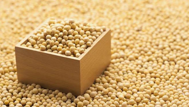 农业农村部：支持大豆机收机防等装备研发应用