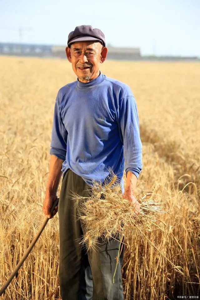 农资价格翻了好几倍，粮食价格为什么不涨？